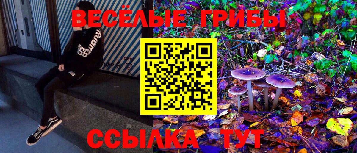 Галлюциногенные грибы GOLDEN TEACHER  Вход с VPN  где купить наркотик  Орехово-Зуево 